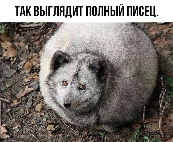    - 9  2023  20:19