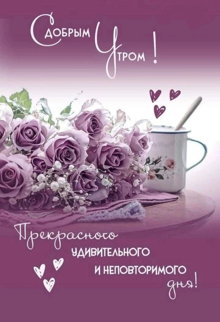 ***Victoria Viktorovna*** - 10  2023  06:02