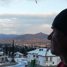 �����, ������, 41 ���