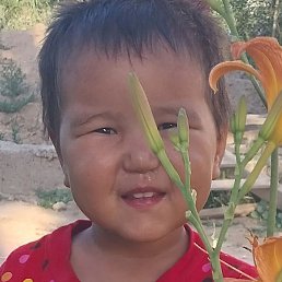 �������, ������, 35 ���