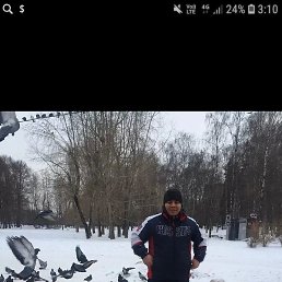 �����, ������, 38 ���