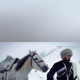 �������, ���������, 47 ���