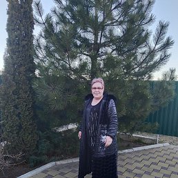 ����, ����������, 66 ���