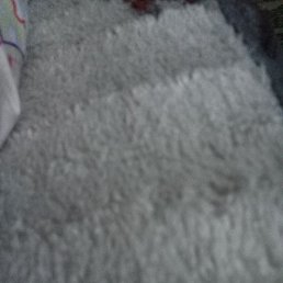 Hvg, ������, 29 ���