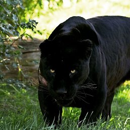 ���� ����, ������, 44 ���� - ��������� 31 ����� 2023