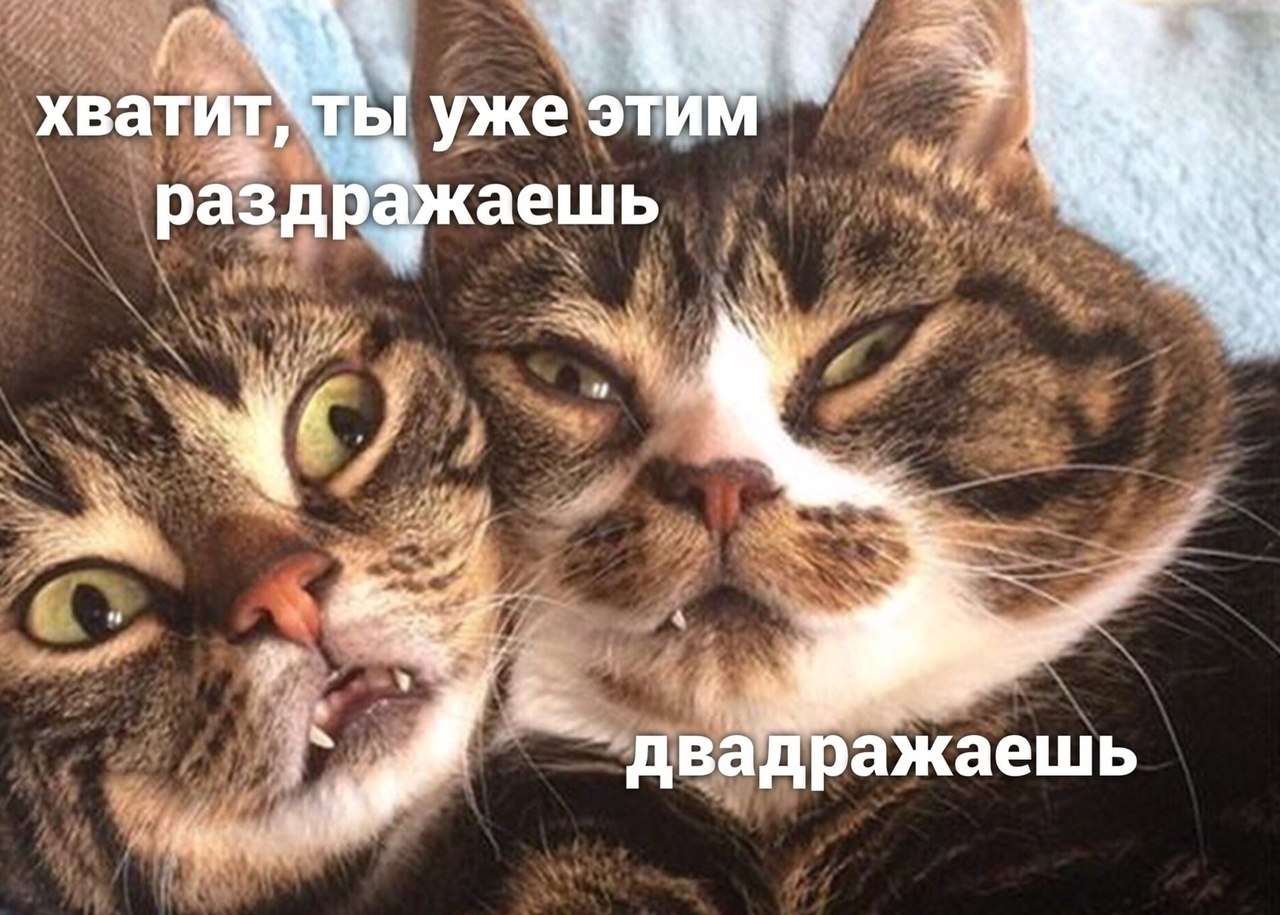    - 2