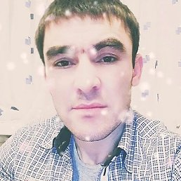 �����, ������, 37 ���