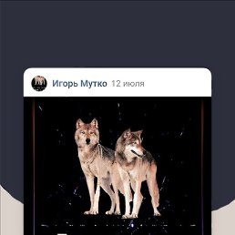 �����, ������, 47 ���