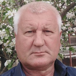 ��������, ������, 66 ���