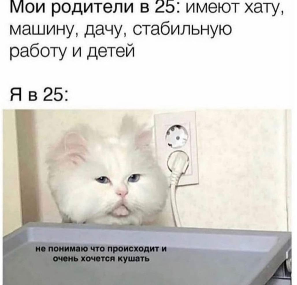    - 23  2023  02:22