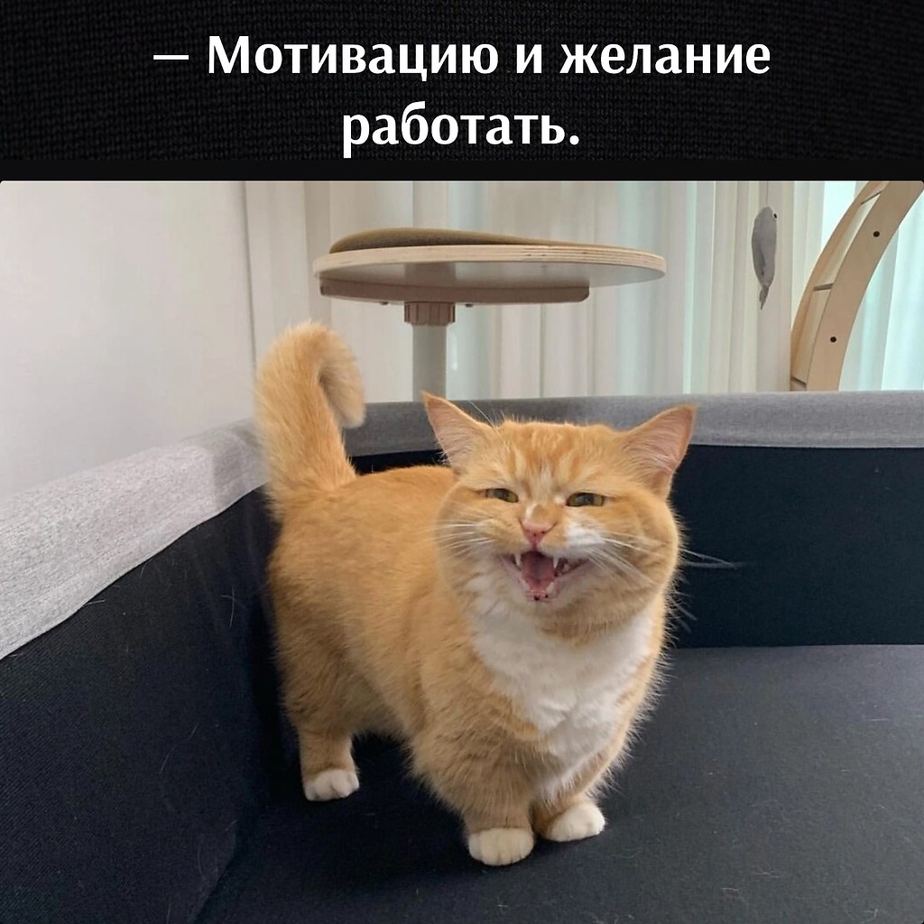       - 8  2023  12:47 - 4