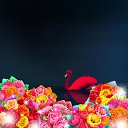 ���� Larka, �����������, 39 ��� - ��������� 11 ��� 2023 � ������ ���� ����������