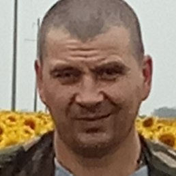 �������, ������, 51 ���