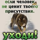 ���� �������, ������, 71 ��� - ��������� 1 ����� 2023 � ������ ���� ����������