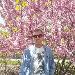 ������, �����������, 52 ����