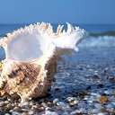 ���� �����, ����, 25 ��� - ��������� 23 ������ 2023 � ������ ���� ����������