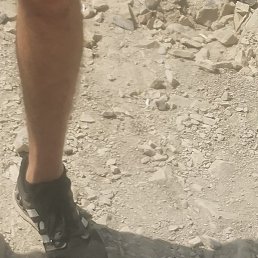 �������, ������, 41 ���