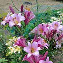 ���� ������, ��������, 47 ��� - ��������� 6 ������� 2023