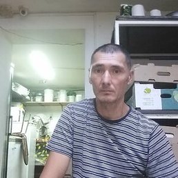 ������, ������, 51 ���