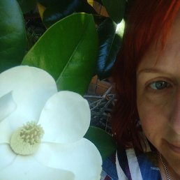 �����, ����, 45 ���