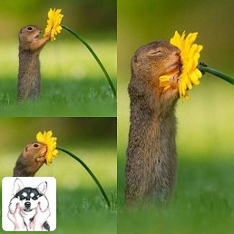 ������ �, ����, 54 ����