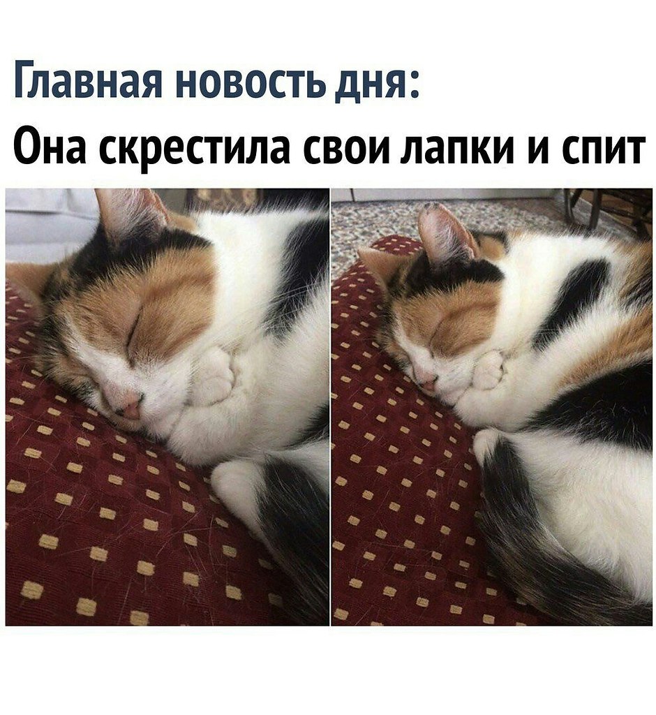    - 16  2023  13:28