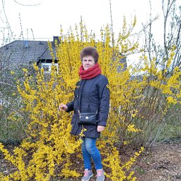 ���� ����, ������, 67 ��� - ��������� 8 ��� 2023