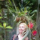 ���� �����, �������, 52 ���� - ��������� 18 ��� 2023 � ������ ���� ����������