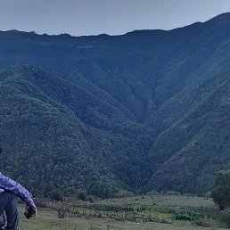 �����, ������, 40 ���