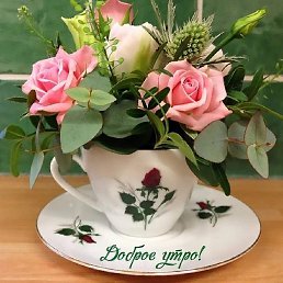 �����, ������, 42 ����