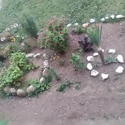 ������, ����, 31 ���