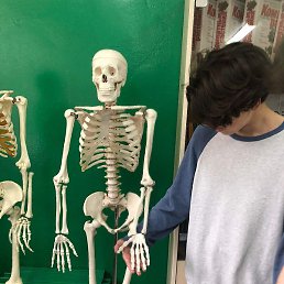 �����, �������, 24 ����