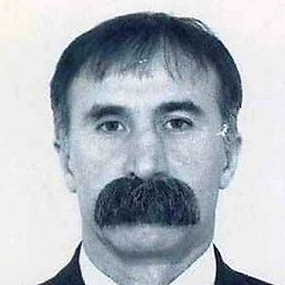 ����, �����-���������, 37 ���