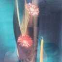 ���� ������, ������ ��������, 37 ��� - ��������� 1 ������� 2023 � ������ ���� ����������