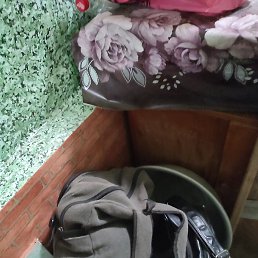 ���, ������������, 38 ���