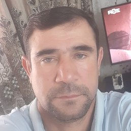 �����, �����, 53 ����