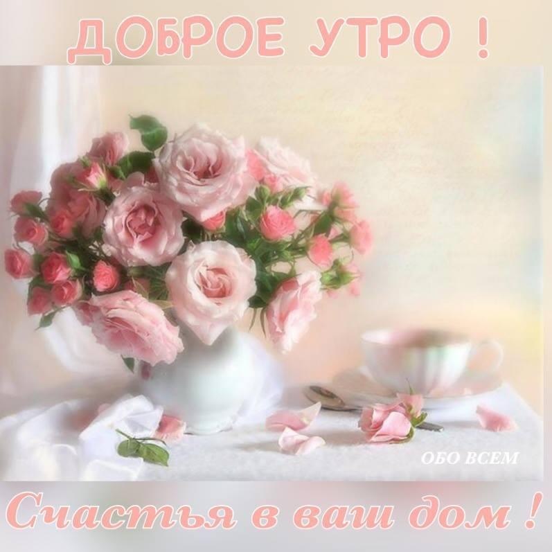     , , ,  ,   ,   ...
