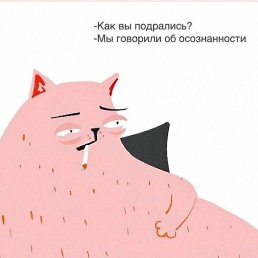 �����, ������� ����, 44 ����