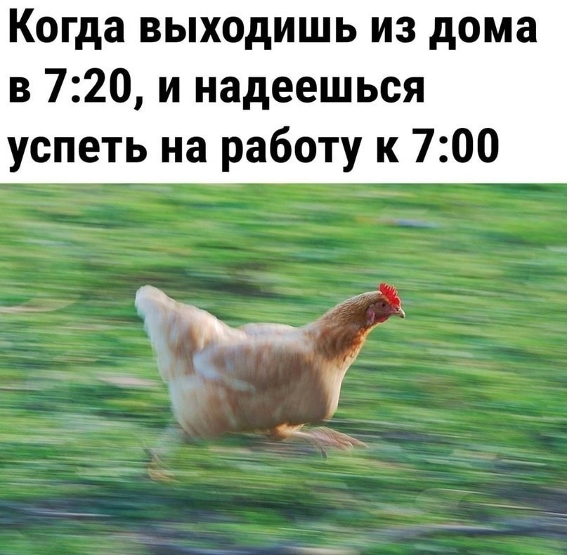   - 9  2023  08:11