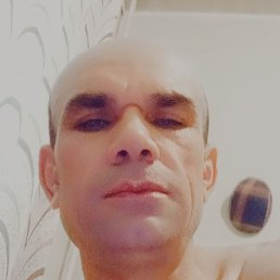 ���, ������, 49 ���