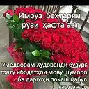  , , 31  -  17  2023