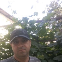 ����, �����������, 43 ����