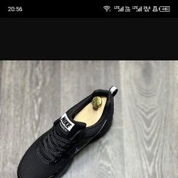 ���� �����, ������, 36 ��� - ��������� 8 �������� 2023