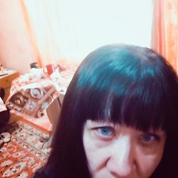 �����, �������, 54 ����