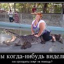 ���� ��������, ��������� - ��������� 11 ��� 2023 � ������ ������ ��������
