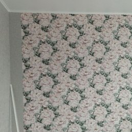 ����, ������, 37 ���