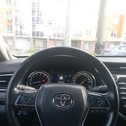 �������, ������������, 43 ����