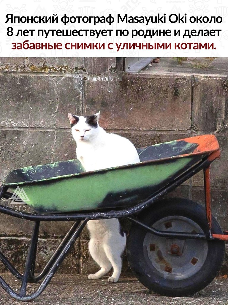    .   , ,        ...