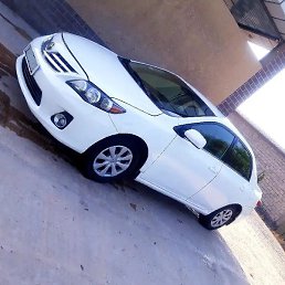 �����, ������� �����, 31 ���