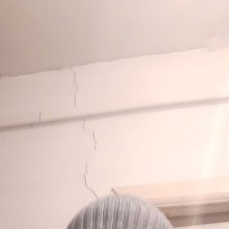 ������, ������, 38 ���